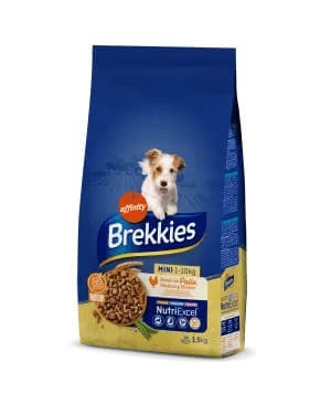 Mini (1-10 kg) 1,5 Kg Dog