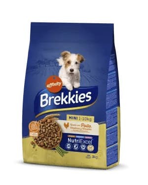 Mini (1-10 kg) 3 Kg Dog