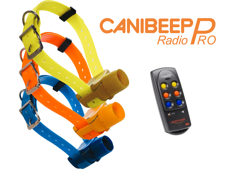 SET CANIBEEP RADIO PRO