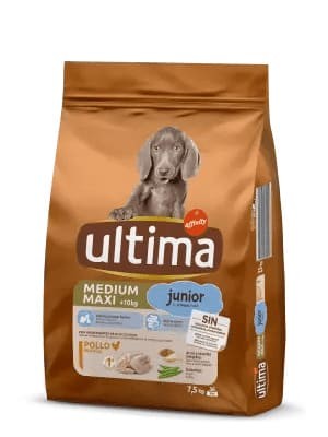 Medium-Maxi Junior con Pollo 7.5 Kg