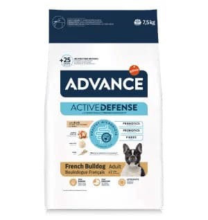FRENCH BULLDOG 7,5 Kg