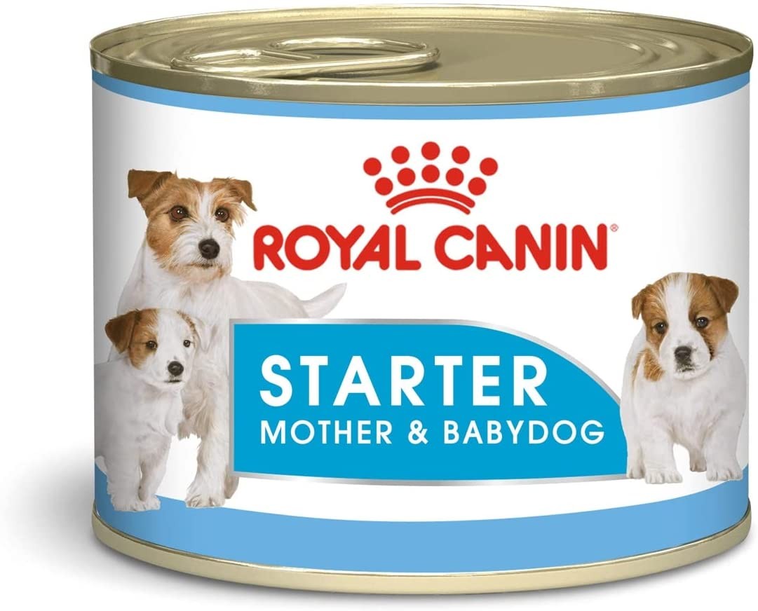 Royal Canin Starter Mousse