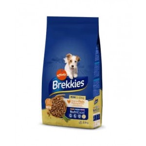 Mini (1-10 kg) 1,5 Kg Dog