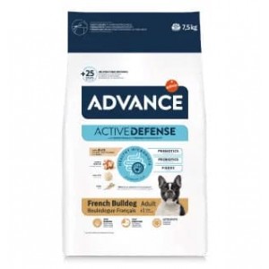 FRENCH BULLDOG 7,5 Kg