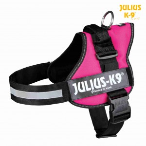 Arnés Julius-K9 Power Fucsia