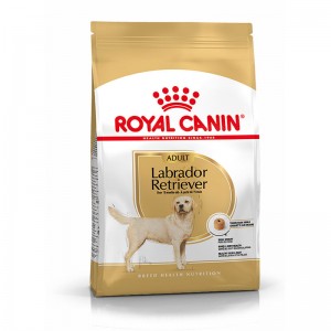 Royal Canin Labrador Retriever 30
