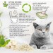 Cat&Rina BeNatural, Arena de Tofu para Gatos, Aglomerante, Vegetal y Ecológica.