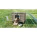 Casita Pequeños Mamíferos
