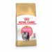Royal Canin  Kitten Persian 32