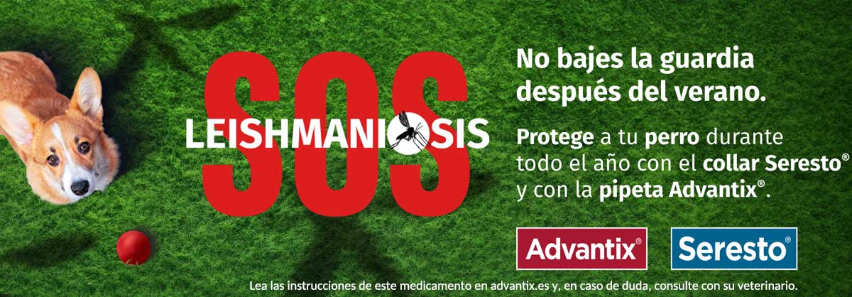 Pipetas Advantix